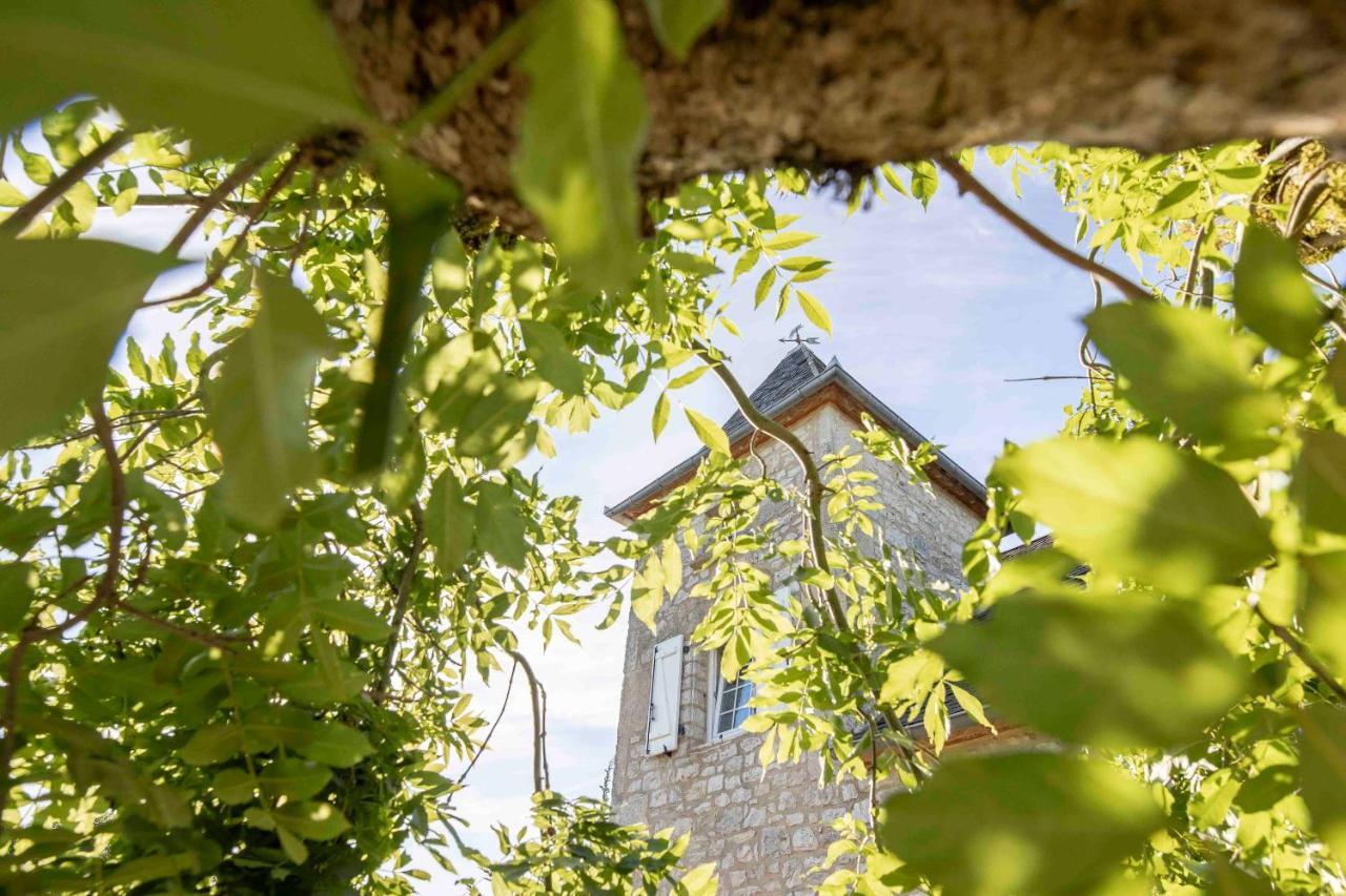 Domaine La Garenne Bed & Breakfast Reilhaguet Eksteriør bilde