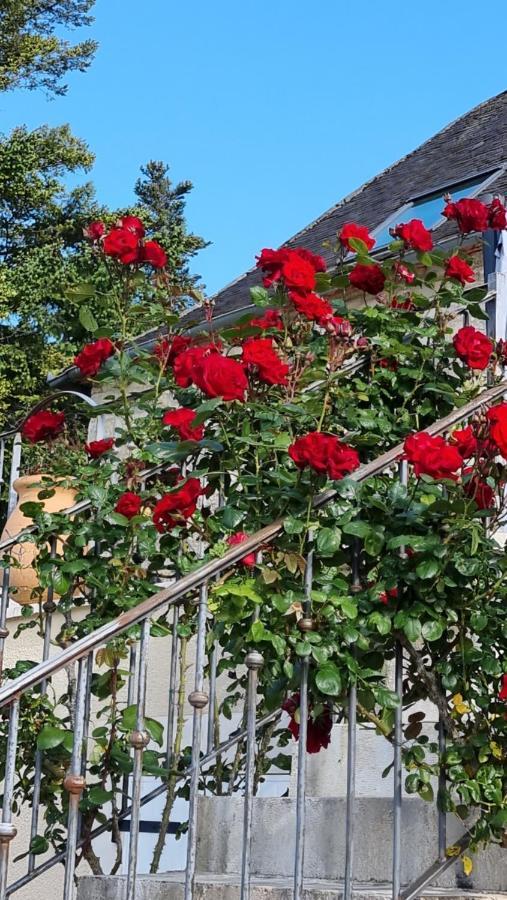 Domaine La Garenne Bed & Breakfast Reilhaguet Eksteriør bilde